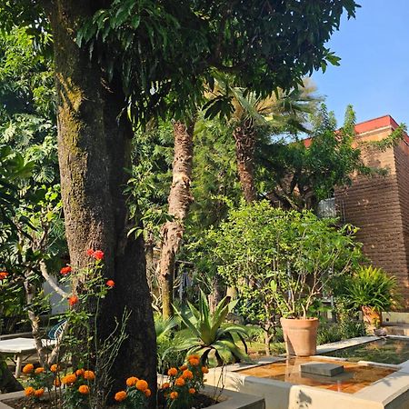 מלון Casa Limon מלינלקו מראה חיצוני תמונה